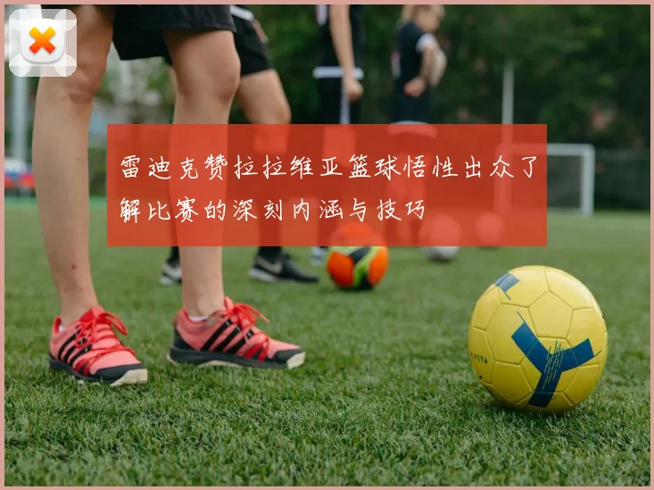 雷迪克赞拉拉维亚篮球悟性出众了解比赛的深刻内涵与技巧