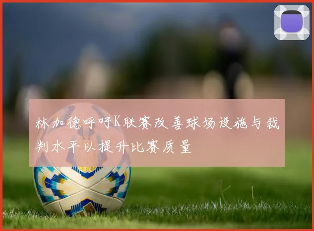 林加德呼吁K联赛改善球场设施与裁判水平以提升比赛质量
