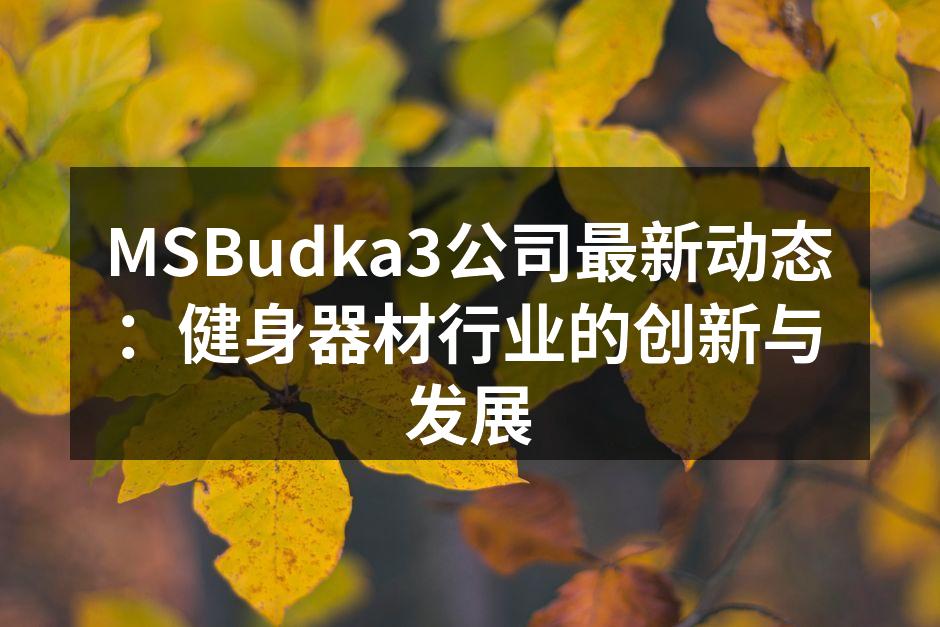 MSBudka3公司最新动态：健身器材行业的创新与发展