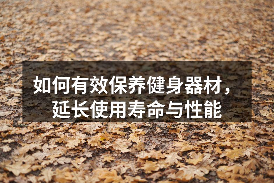 如何有效保养健身器材，延长使用寿命与性能